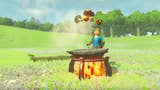 Cooking in Breath of the Wild.