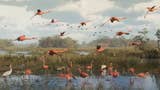 GTA 6 trailer screenshot showing flamingoes taking flight in the everglades.
