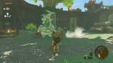 Link standing near Hestu in The Legend of Zelda: Tears of the Kingdom.